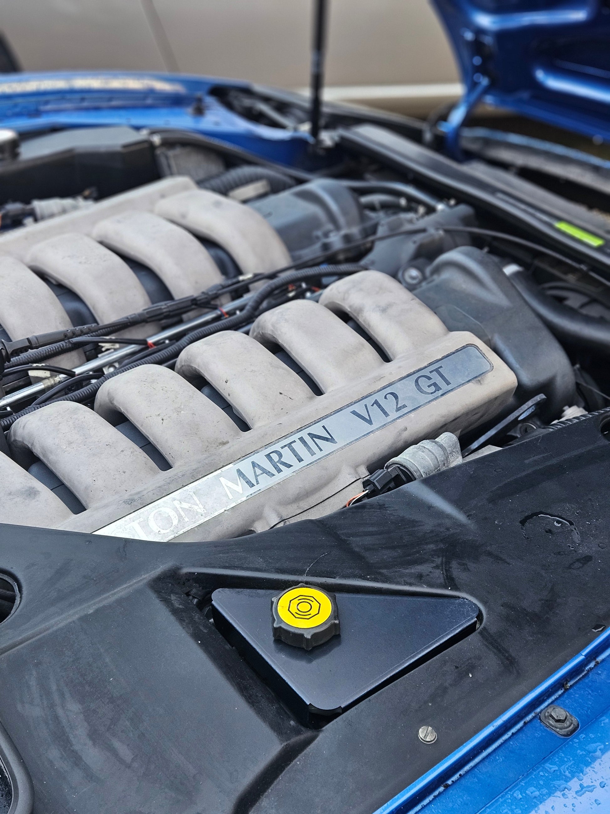 DB7 Vantage Brake fluid reservoir UV protection parasol RHD ONLY | AstonSpares - Aston Spares