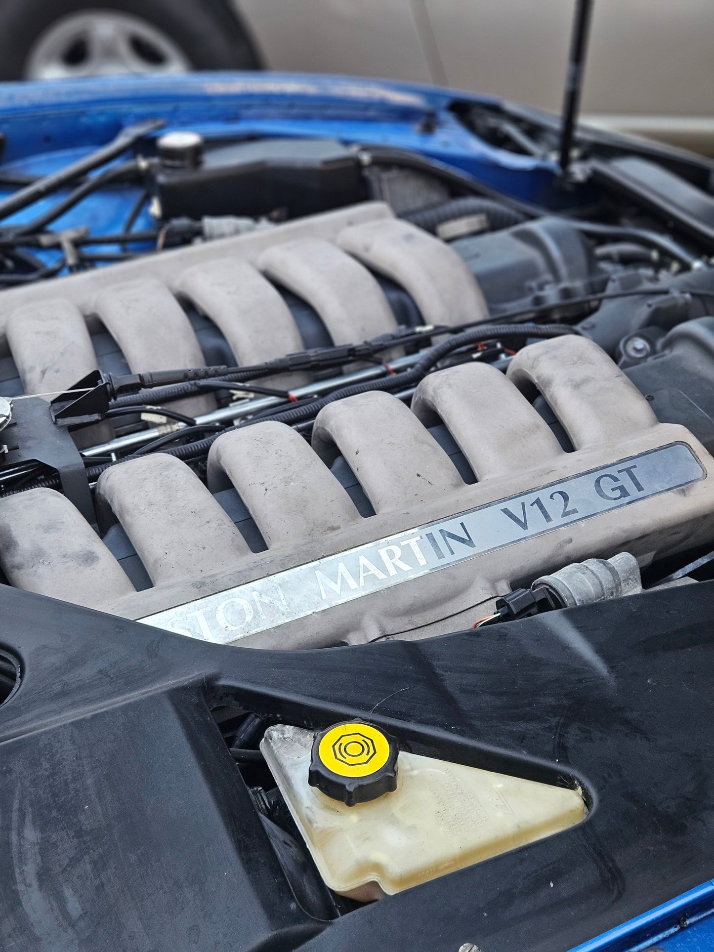 DB7 Vantage Brake fluid reservoir UV protection parasol RHD ONLY | AstonSpares - Aston Spares